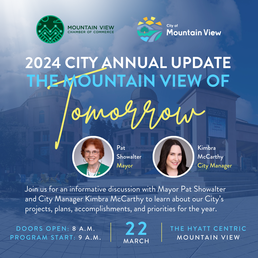 City Annual Update Flyer