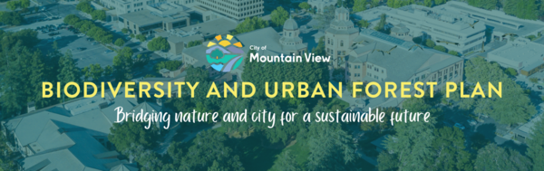 Biodiversity Plan Project Banner Showing City Hall and Trees