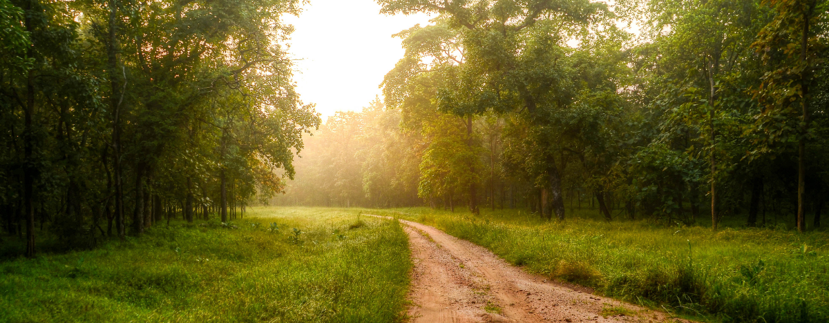 California State Parks