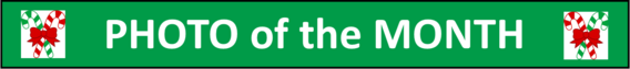 PHOTO OF THE MONTH BANNER