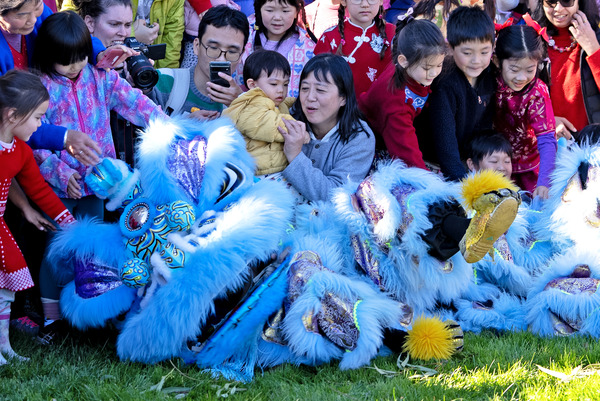 Lunar New Year Dragon