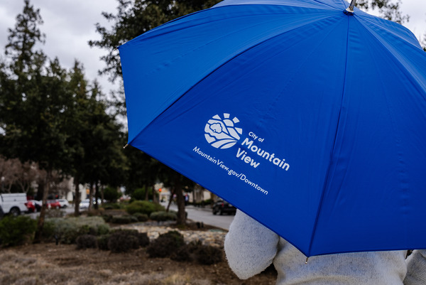 Umbrella Share Program
