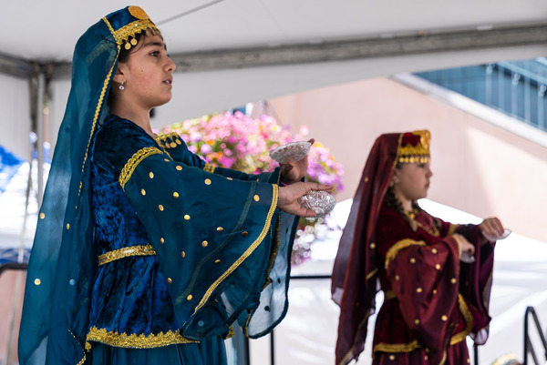 Multicultural Fest 2024