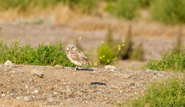 Photo Contest Winner