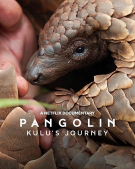 Pangolin: Kulu's Journey