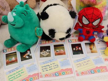 Photo of a few stuffed animals from Stuffed Animal Sleepover