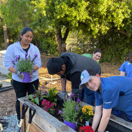 Teens gardening.