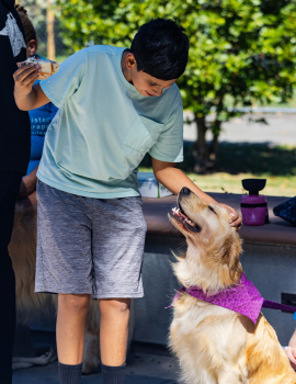 Teen petting a therapy dog.