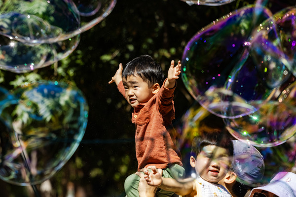 Harvest History Festival 2024
