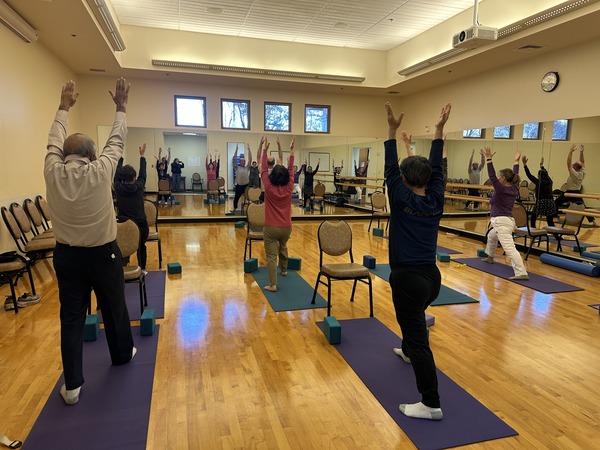 Vinyasa Flow Introduction 12-18