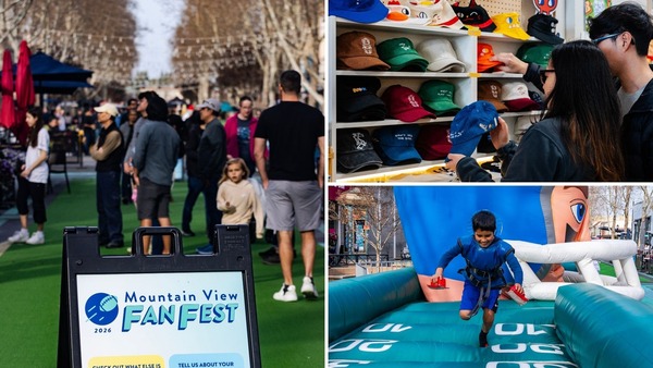 Fan Fest Moment Collage