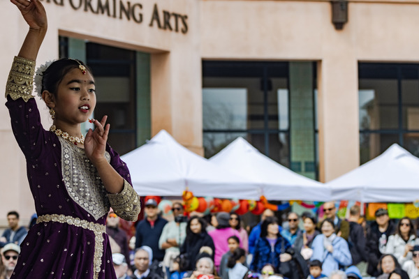 Multicultural Festival