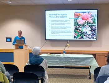 Photo of a Master Gardener delivering a presentation on bearded irises