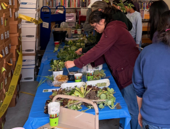 Photo of a customer looking through plants placed on a table in the bookmobile garage