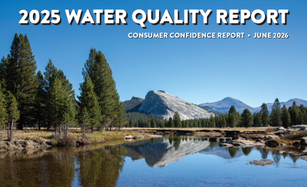 Water Quality Report 2025