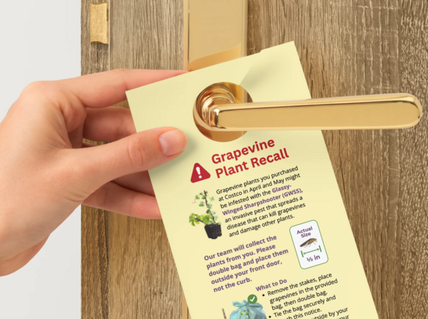 Grapevine Plants Door Sign