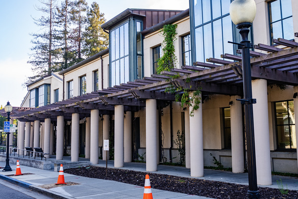 Trees Removed Library