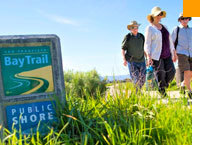 Bay Trail