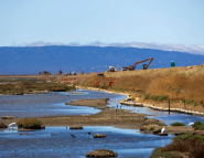 wetlands restoration