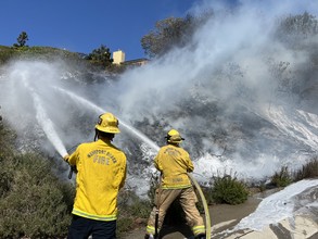 Brush Fire March 2022