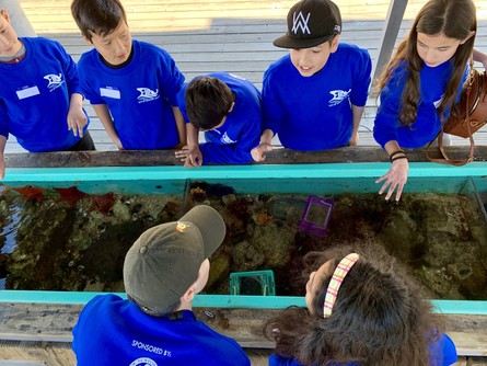 Photo of Children at the Tidepool Touch Tanks