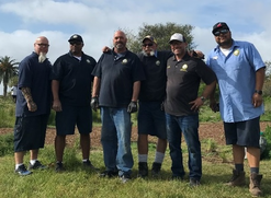 Photo of City Staff at Tree Planting