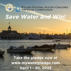 2022 Mayor's Challenge for Water Conservation 