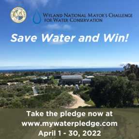 Take the Mayor's Challenge for Water Conservation Today 
