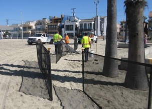 Photo of fencing used to reduce the windblown sand along the boardwalk