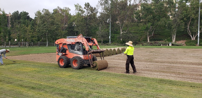 Photo of Equipment and Public Works Employee laying sod