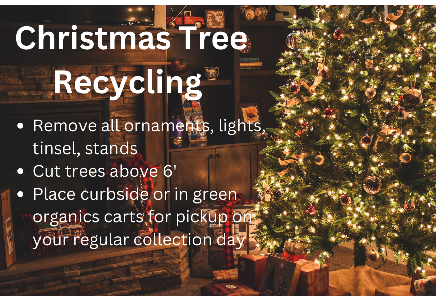 tree recycling graphic