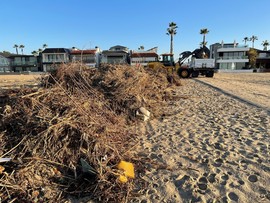 Photo of beach debris after storm