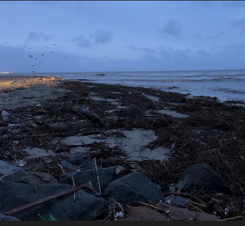 beach debris and trash 