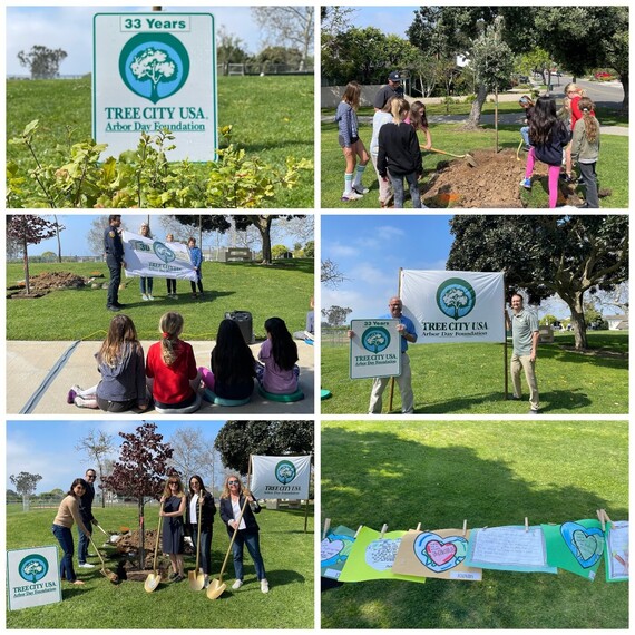 Collage of Photos from the Arbor Day Event