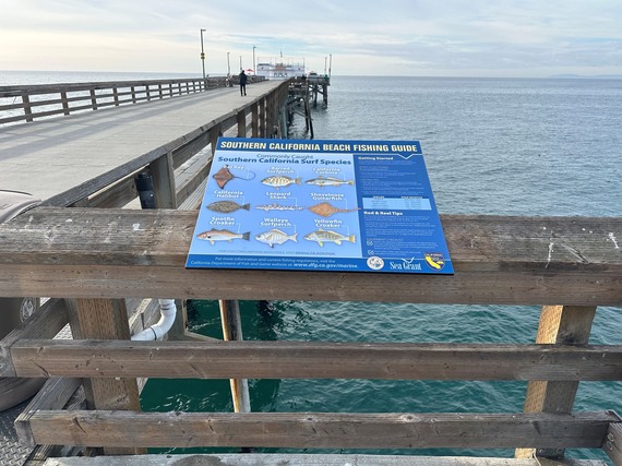 Photo of fish guide affixed to the pier