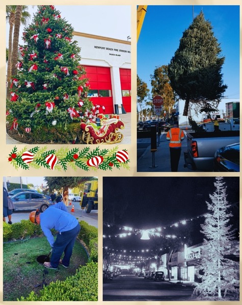 Photo collage of tree installation and final look