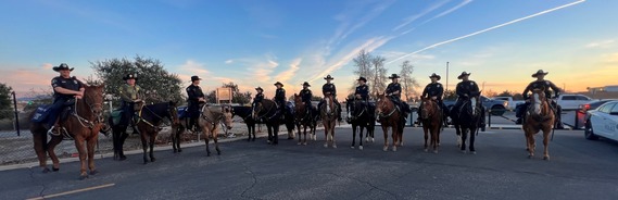 Group of mounted officers at event