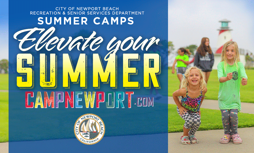 Elevate Your Summer Header