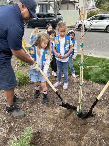 Girl scouts planting trees