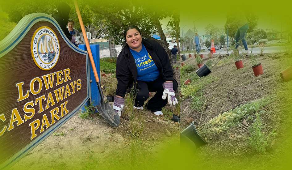 Image of Tree Planting