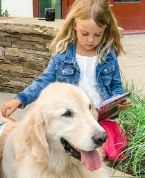 Image of Bark: Read to a Dog!