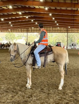 Photo of rider with horse in arena