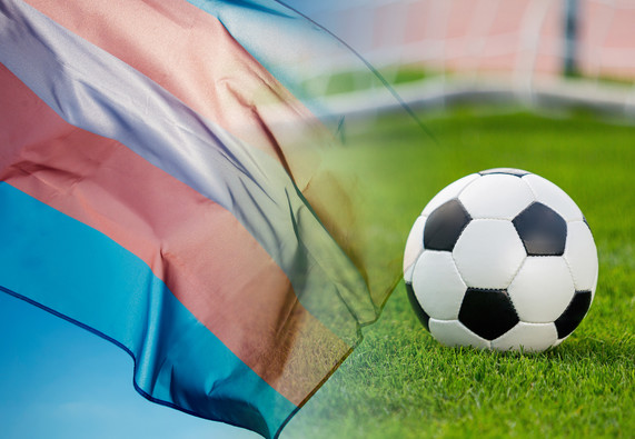 Transgender flag and soccer ball on a grass field