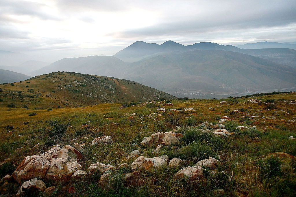 Otay Mountain Wilderness Area