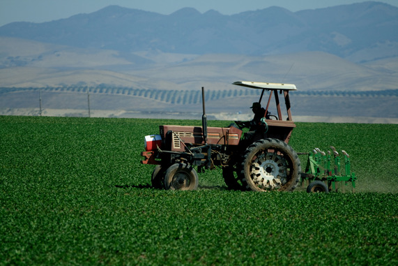 Farmer on a tractor