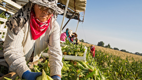 Farmworker