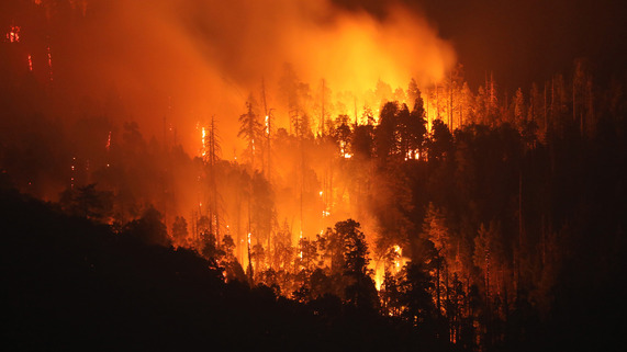 Picture of wildfire