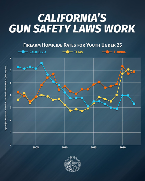Gun Safety Laws