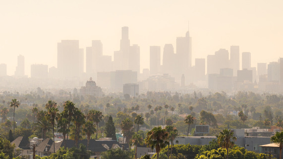 Smoggy LA Skyline