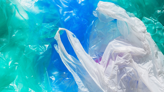 Plastic Bags